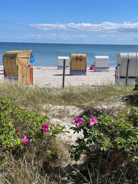 Fewo-Mit-Terasse-U-Garten-Am-Golfplatz Wulfen auf Fehmarn ภายนอก รูปภาพ